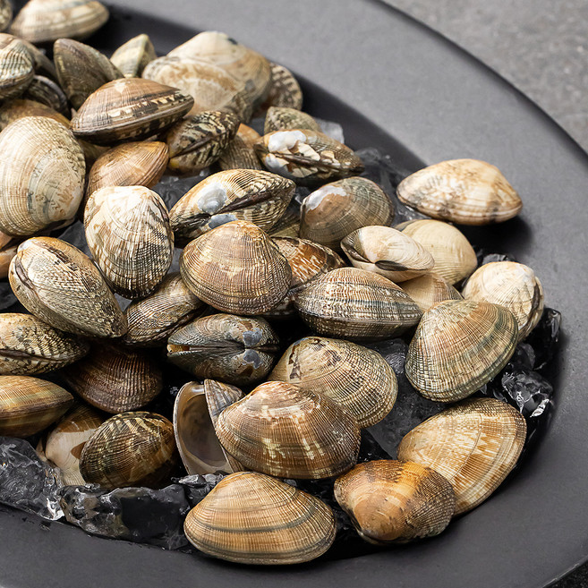 바다림 서해안 산지직송 생물 갯벌 참바지락 (냉장), 1kg, 1개