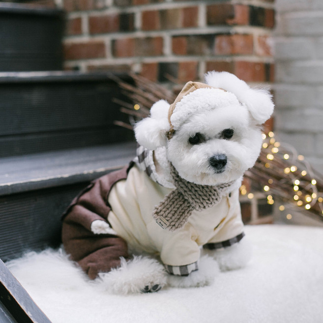 에이미러브즈펫 반려동물 체크멜빵 기모 올인원, 브라운, 1개