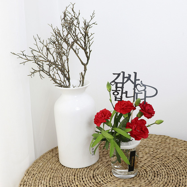 블뤼엔 생화 카네이션 + 나한송 수경화분 메세지픽 + 카드 + 돈봉투, 레드(카네이션), 1세트