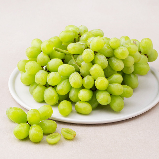 선우 칠레산 씨없는 청포도, 1.2kg, 1개
