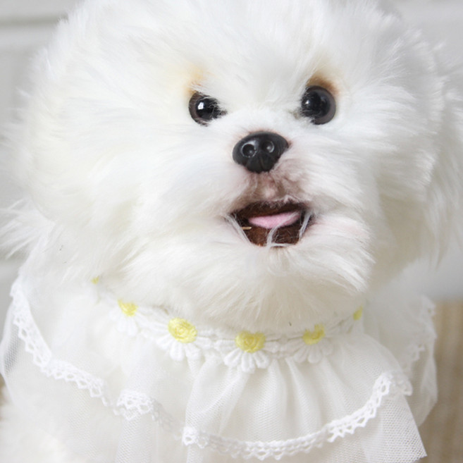 에이미러브즈펫 강아지 고양이 데이지케이프, 옐로우, 1개