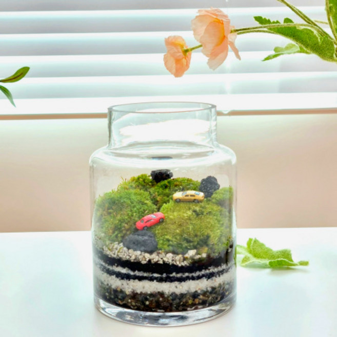 Manna&Me 絲苔玻璃生態瓶 DIY 套組 森林奔馳 迷你模型 隨機出貨, 1個