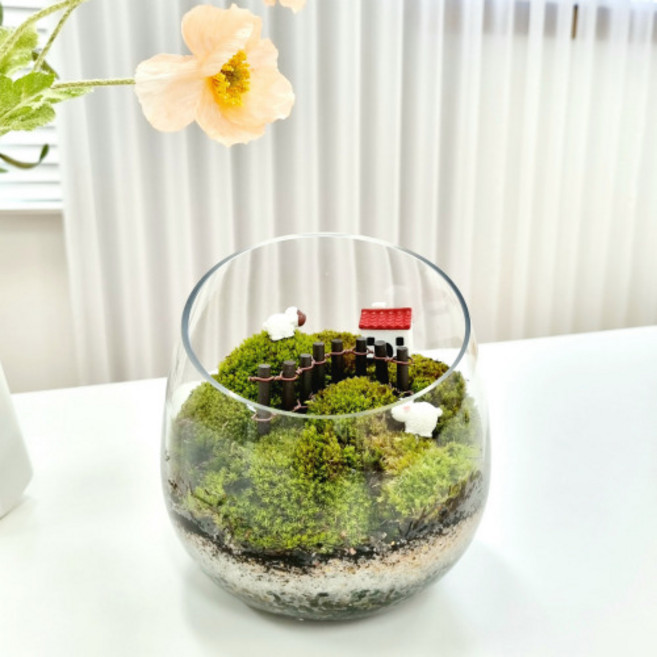 Manna&Me 白髮苔生態瓶 DIY套組 牧羊山丘 + 迷你模型隨機出貨, 1個