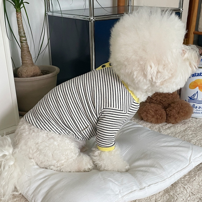 바이담수미 강아지 뉴트로 배색 티셔츠, 블랙, 1개