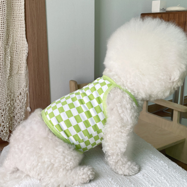 바이담수미 반려동물 체크체크 끈나시, 그린, 1개