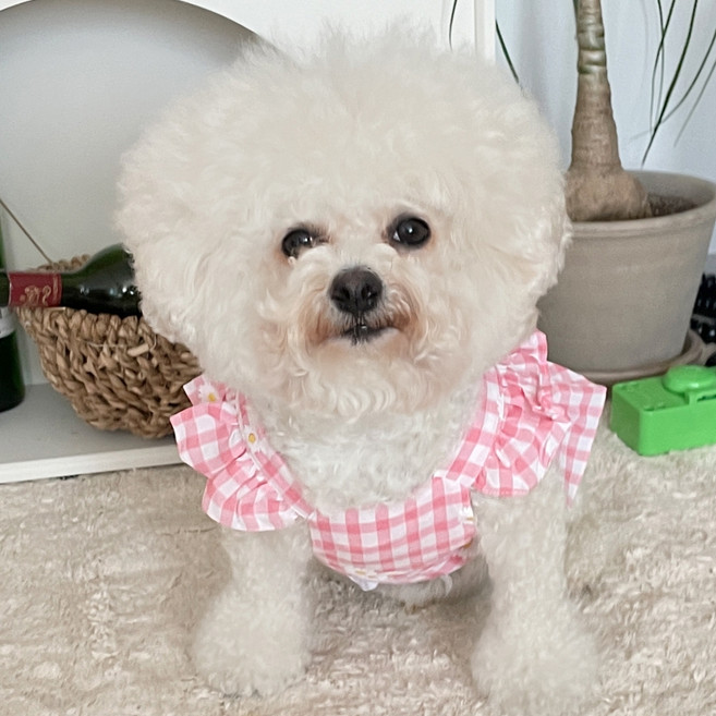 바이담수미 강아지 데이지 체크 프릴 나시, 핑크, 1개