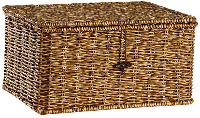 닌샵 라틴 케이스, 다크브라운, 1개