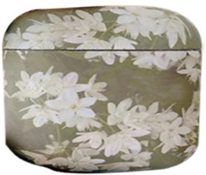 클리니스 꽃무늬 에어팟 프로 케이스, 들꽃