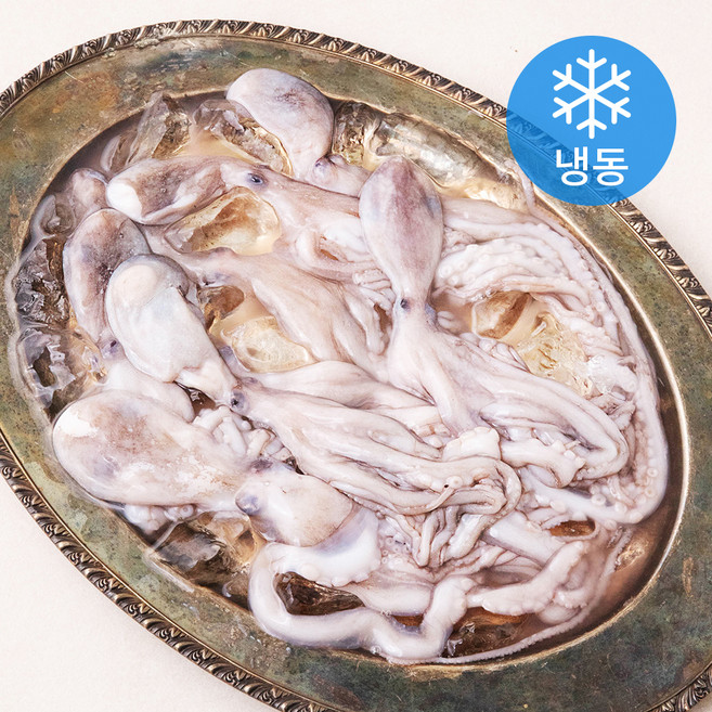 비비수산 살아있을때 얼린 신선한 낙지 (냉동), 1개, 850g(7-8미)