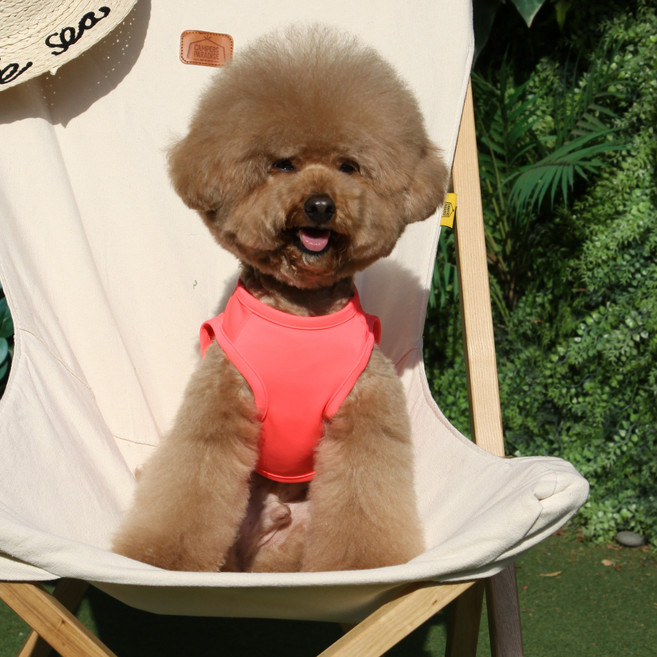 에이미러브즈펫 강아지 민소매 티셔츠, 핫핑크, 1개