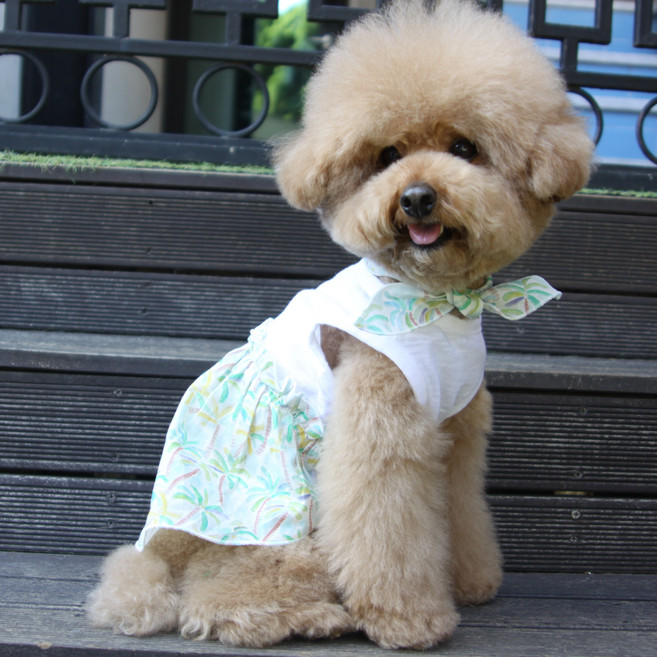 에이미러브즈펫 야자수 원피스 + 스카프 세트, 화이트, 1개