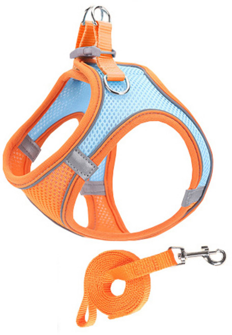 Pai 굿타임 하네스 + 리드줄 세트, 블루오렌지, 1세트