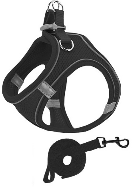 Pai 굿타임 하네스 + 리드줄 세트, 블랙, 1세트