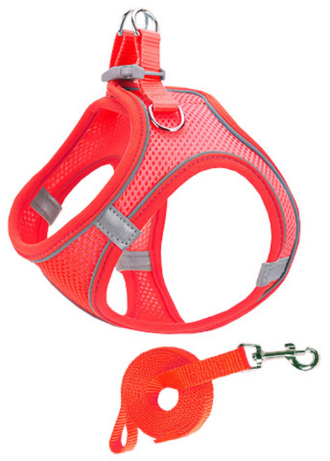 Pai 굿타임 하네스 + 리드줄 세트, 레드, 1세트