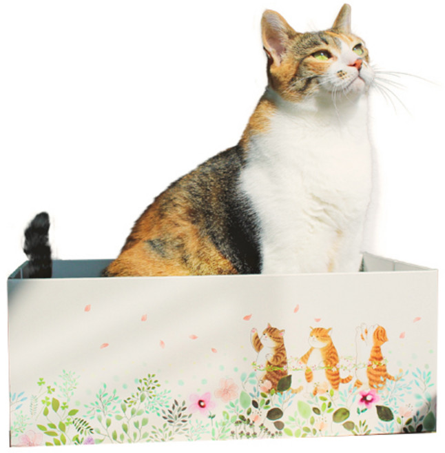 오케이펫코리아 고양이 냥송이 박스 + 스크래쳐 리필 2p 세트, 혼합색상, 1개