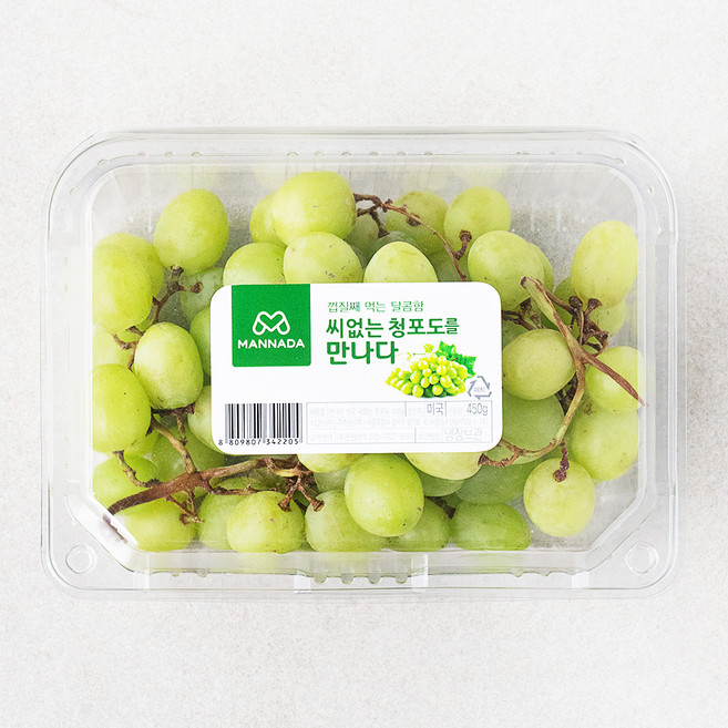 만나다 미국산 씨없는 청포도, 450g, 1개