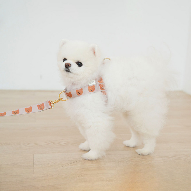 어거스몬 강아지 심플베어 앞섬방지 하네스, 베이지, 1개