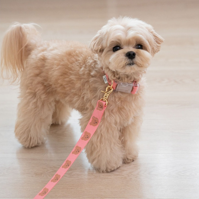 어거스몬 반려동물 심플 베어 목줄, 핑크, 1개