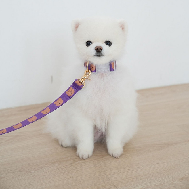 어거스몬 반려동물 심플 베어 목줄, 보라, 1개