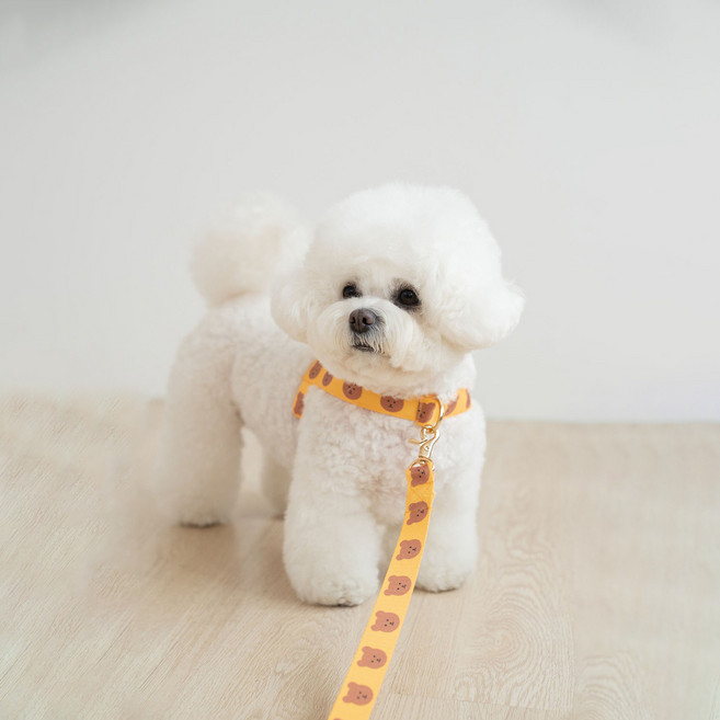 어거스몬 강아지 심플베어 앞섬방지 하네스, 옐로우, 1개