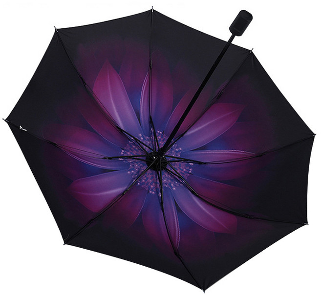 오래 꽃비가 내려와 양산