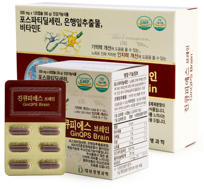 진큐피에스 브레인 혈행 혈액 순환 포스파티딜세린 영양제 30g, 1개, 120정