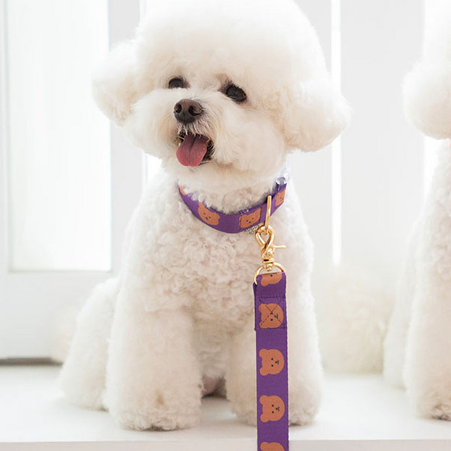 어거스몬 강아지 심플베어 리드줄, 보라, 1개