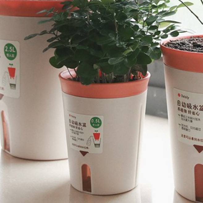 모리앤 칼라 저면관수 화분, 오렌지, 3개