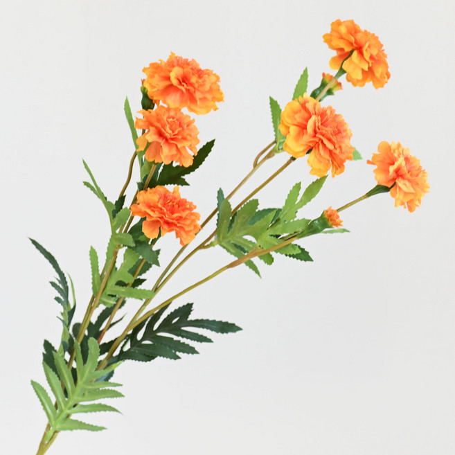 도시정원 조화 메리골드가지, 오렌지, 1개