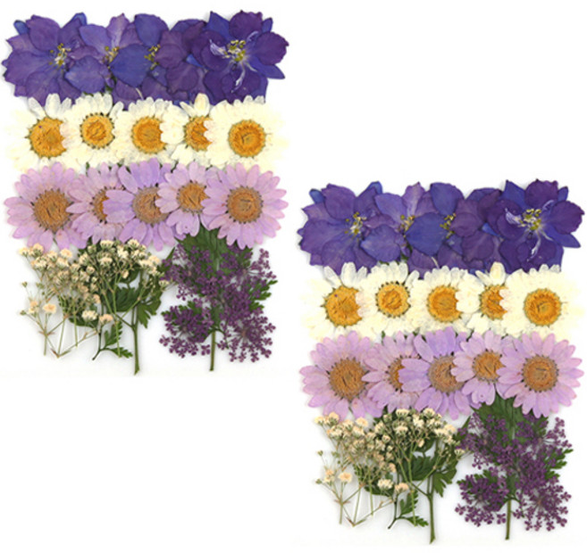 프레스코21 압화 종합팩, K107, 2세트