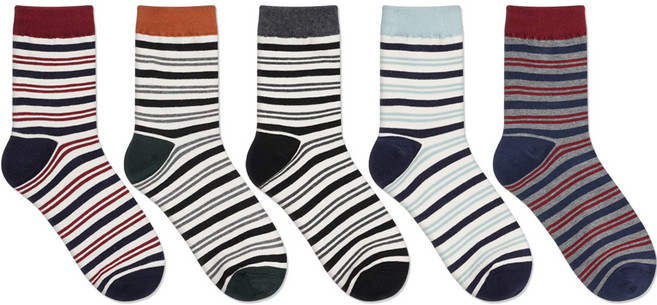 박군 남성용 밀라노 중목 양말 5족 세트