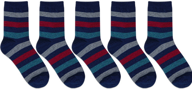 박군 남성용 이든 중목 양말 5족 세트