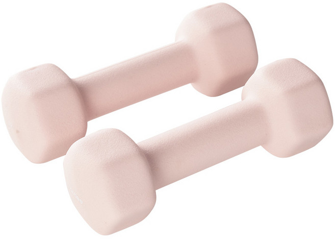 앳플리 LW 미용 아령, 2kg, 2개