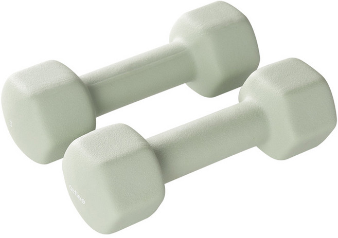 앳플리 LW 미용 아령, 3kg, 2개