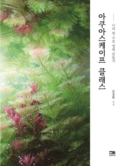 아쿠아스케이프 클래스, 김상현, 성신미디어