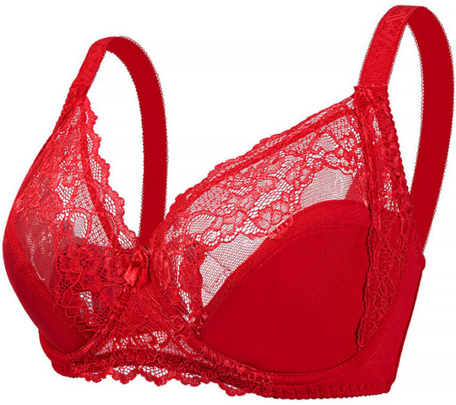 지앤와이 메쉬레이스 리본 브라