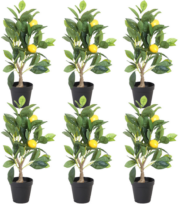 마쉬매리골드 리얼 레몬 프리미엄 열매 조화나무 XS 50cm, 그린 + 브라운, 6개