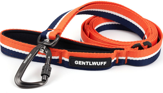 젠틀우프 강아지 리드줄, 트와일라잇 포레스트, 1개