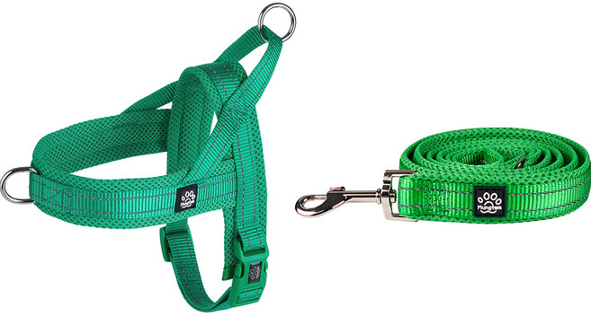 멍템 강아지 앞섬방지 하네스 + 메쉬 리드줄 세트, 그린, 1개