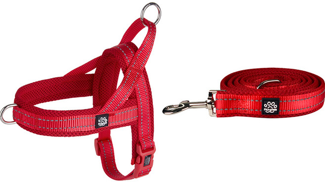 멍템 강아지 앞섬방지 하네스 + 메쉬 리드줄 세트, 레드, 1개