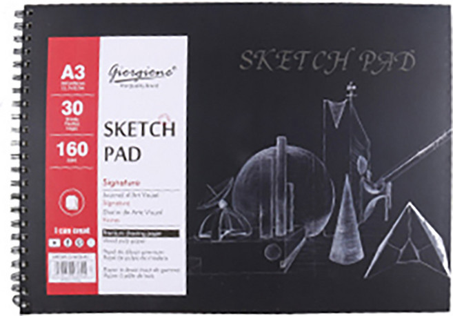 조르조네전문가용스케치북, A3, 30매, 1개