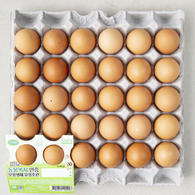 자연애찬 동물복지 무항생제 유정초란 1 260g, 30구, 1개