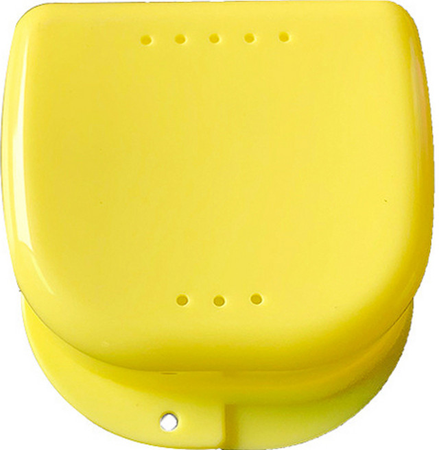 정월나나 프리미엄 틀니 보관함 옐로우, 1개