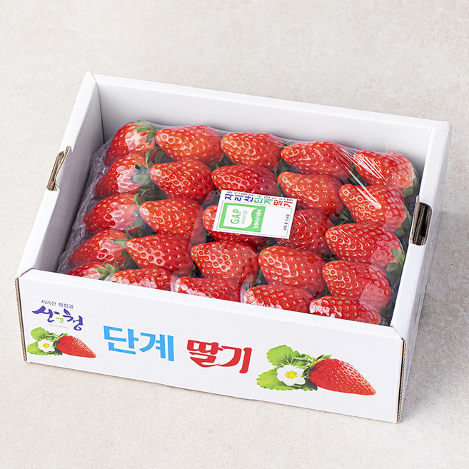 GAP 인증 산청 단계 장희 딸기, 750g, 1박스
