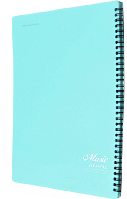 모닝글로리 7500 음악파일 30P, 민트, 1개