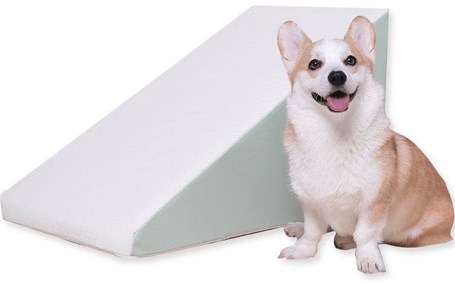 초코펫하우스 강아지 야광 논슬립 스텝 2.0, 민트, 1개