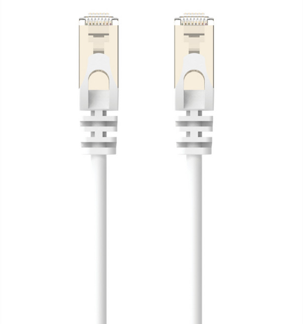 POLYWELL 寶利威爾 CAT6A 網路線 PW15-W58-G100, 10m, 白色, 1條