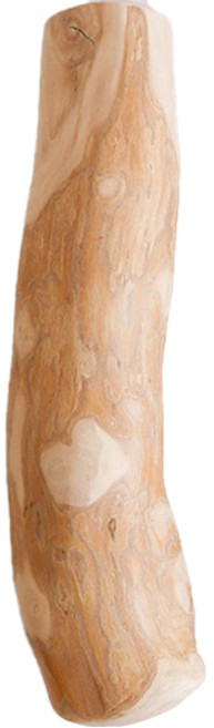 딩동펫 커피나무 스틱 강아지 장난감, 우드, 1개