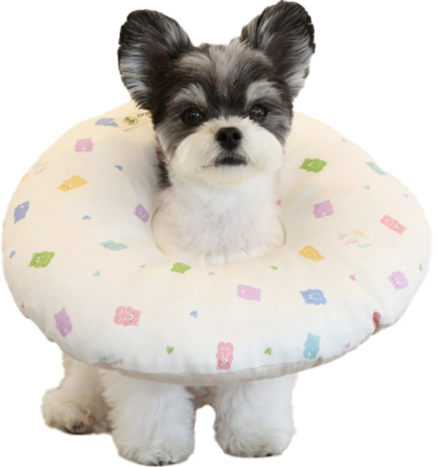 리토가토 강아지 커버분리형 쿠션 넥카라, 젤리곰, 1개