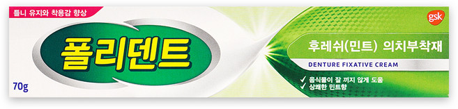 폴리덴트 후레쉬 민트 의치 부착재 70g, 1개입, 1개